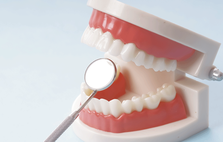 お口全体のチェック